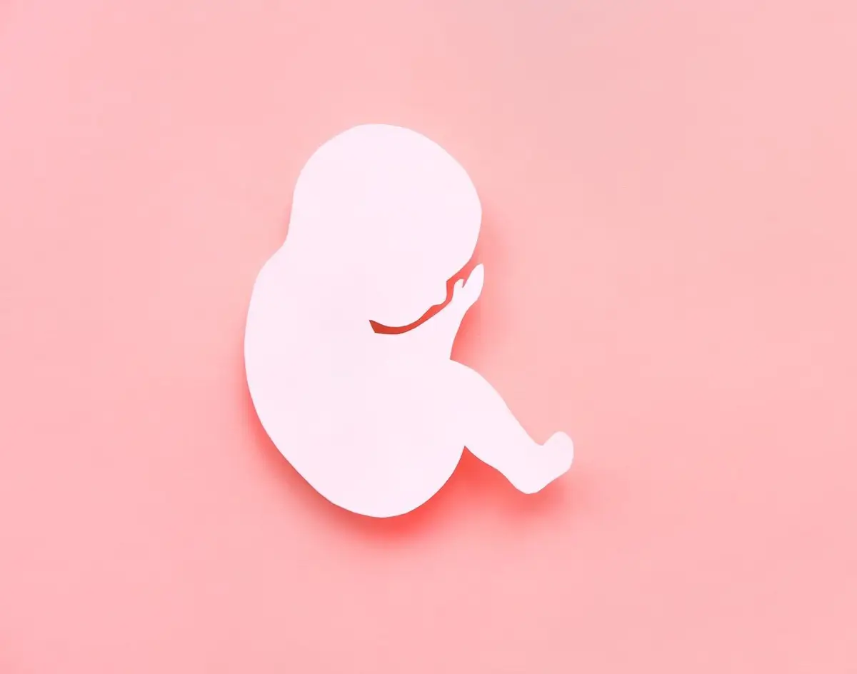 Τι συμβαίνει στο έμβρυο