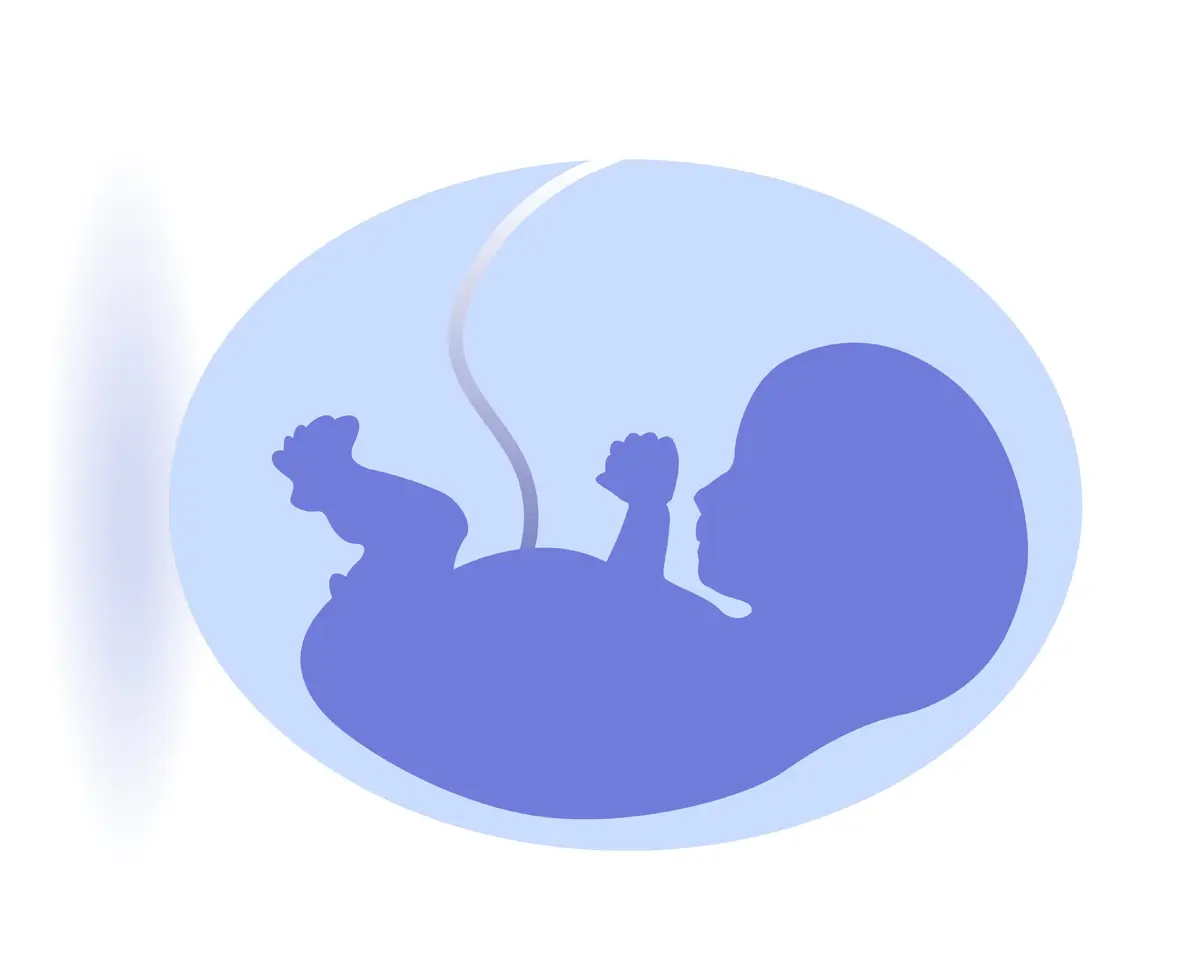 Αυχενική Διαφάνεια & PAPP-A