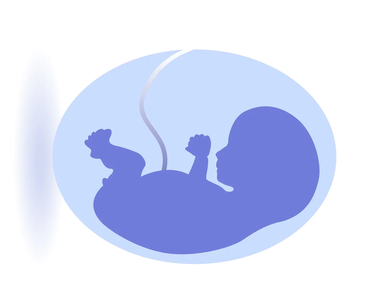 Τι συμβαίνει στο έμβρυο